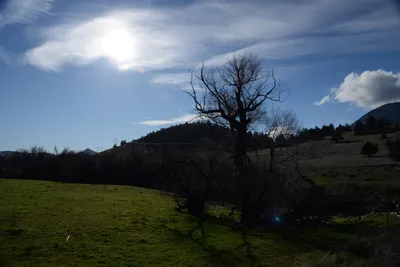 DSC_1065 (Large).JPG